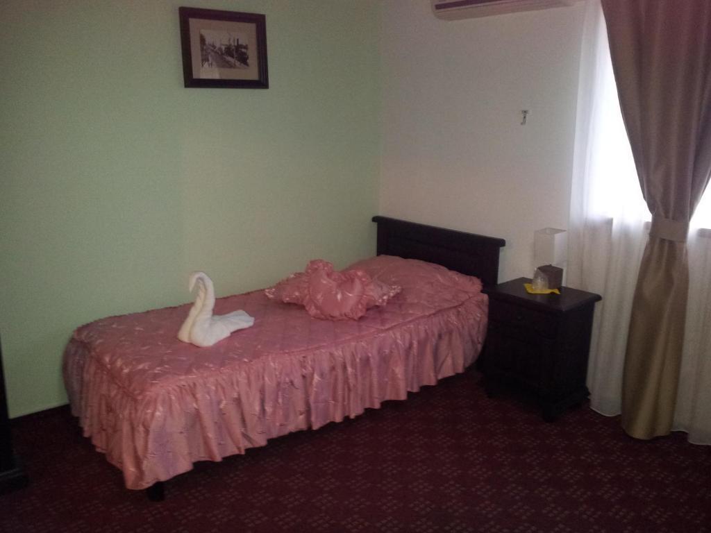 Pension Casa Sibiana Sulina Buitenkant foto